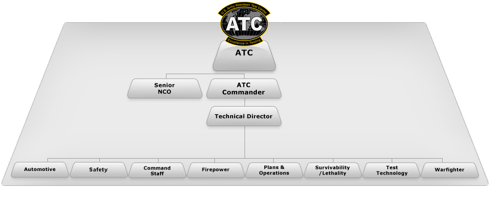 Organizational Structure