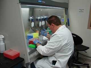 Biologist in a white lab coat and protective gloves performing pipetting during a polymerase chain reaction procedure in a biosafety level 2 hood at Dugway’s Life Sciences Test Facility
